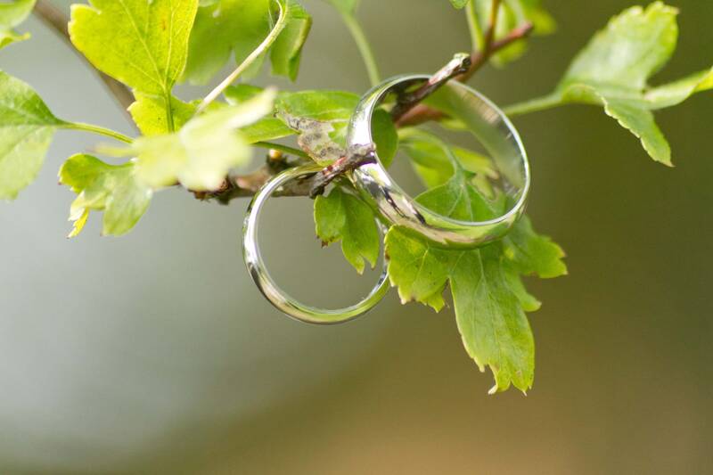 Rings hanging from branch of a tree